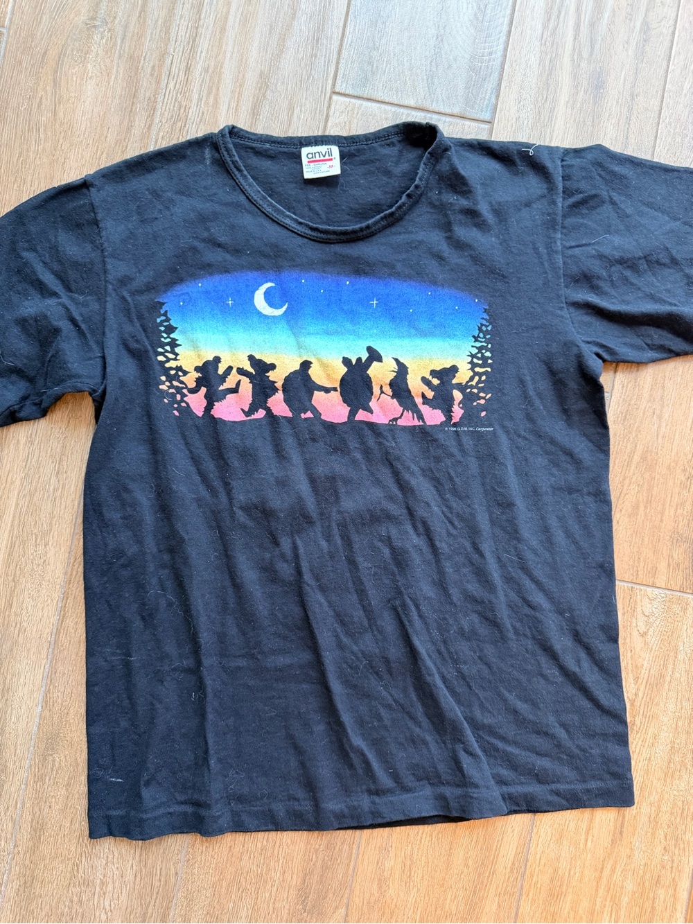 Vintage Anvil Grateful Dead Graphic Tee